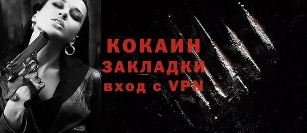 кокс Богородицк
